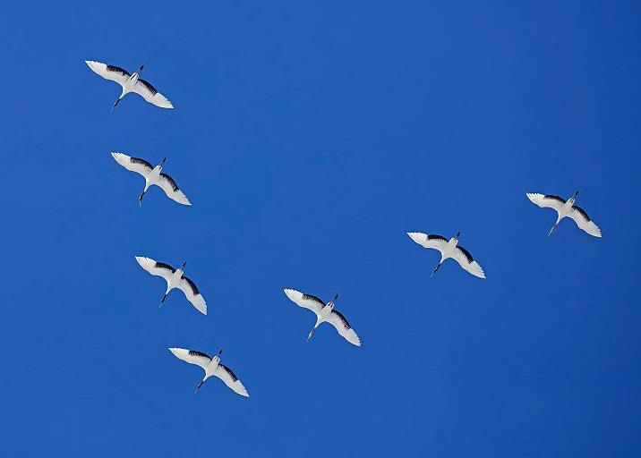綜合物流,綜合物流服務