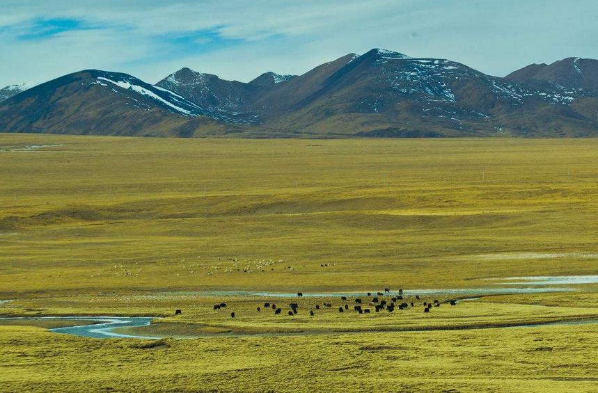 促進(jìn)高原特產(chǎn)產(chǎn)業(yè)鏈發(fā)展 物流產(chǎn)業(yè)聯(lián)盟宣布成立