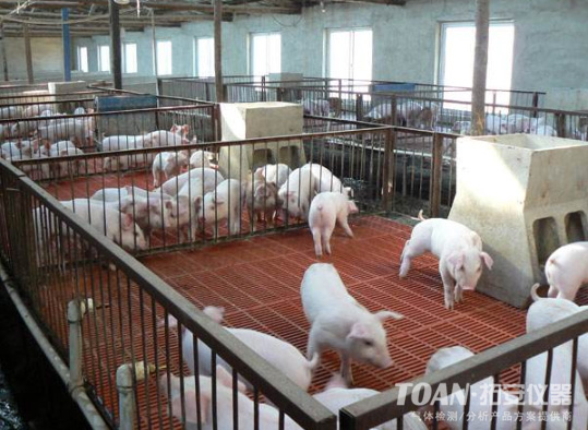 氨氣檢測(cè)儀，氨氣報(bào)警器在養(yǎng)殖場(chǎng)的應(yīng)用-湖南拓安儀器